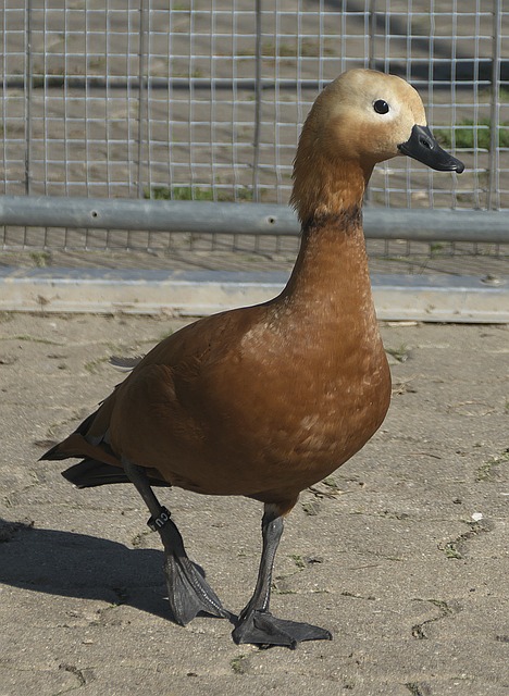 多关注目光